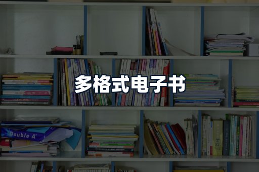 多格式电子书
